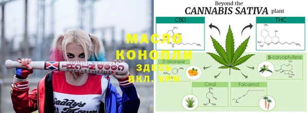 ECSTASY Белокуриха