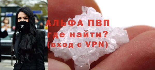 ECSTASY Белокуриха