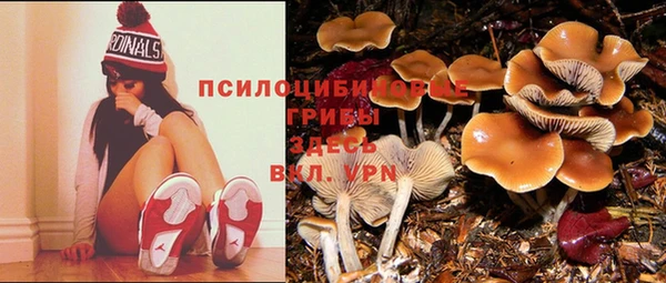 шишки Россошь